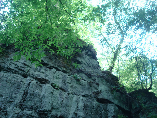 Official Missouri StL KC etc too Picture Thread St 